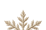 ETARA Vintage Holiday Studio, an Object Graphic by ETARA by Mea Hau (Thumbnail 34 of 94)