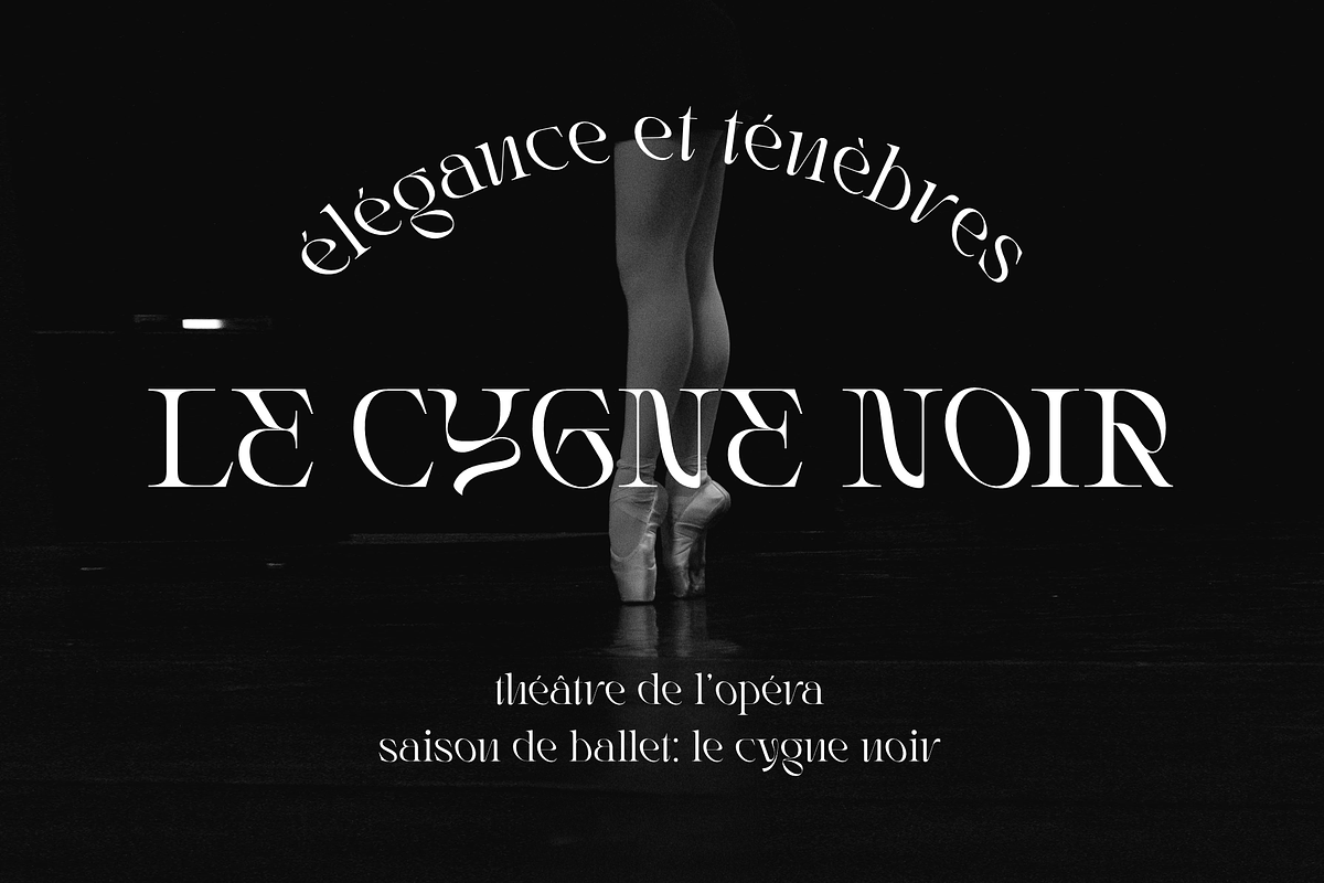 Rogain - Modern Serif, a Serif Font by LoneArmy (Photo 4 of 12)