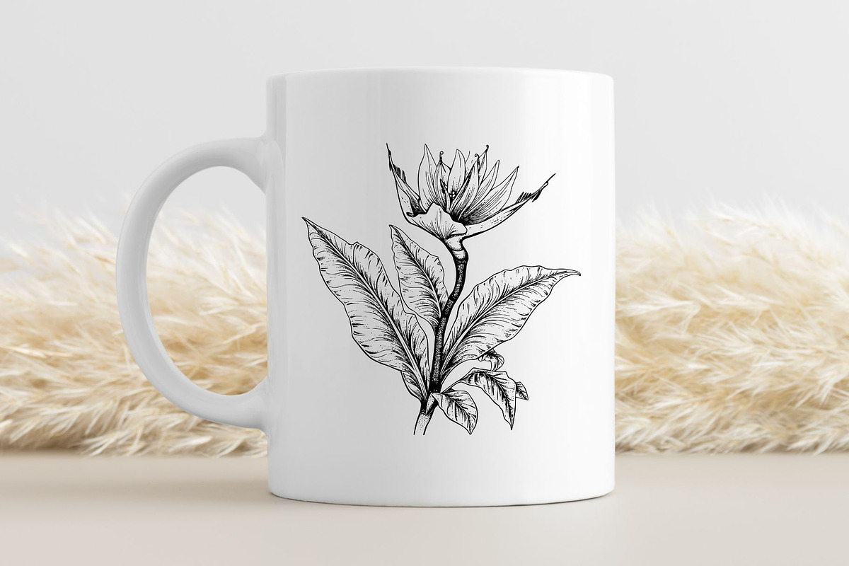 Bird Of Paradise Flower SVG Clipart, an Illustration by YouniqueArtwork (Photo 2 of 5)