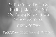 Braven | A Modern Serif Typeface, a Serif Font by ToniStudio (Thumbnail 8 of 10)