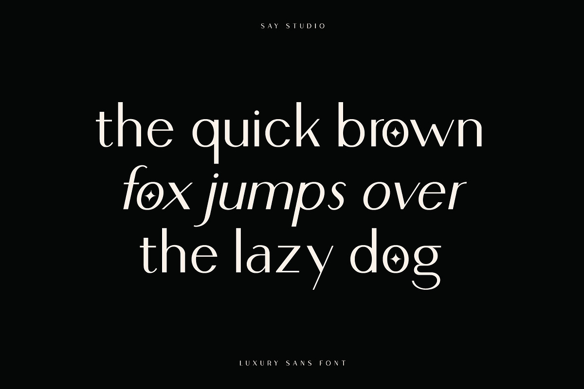 Loving Ambros, a Sans Serif Font by Say Studio (Photo 8 of 15)