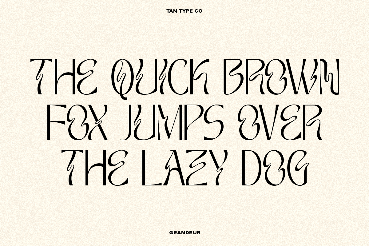 TAN - GRANDEUR, a Sans Serif Font by TanType (Photo 22 of 25)