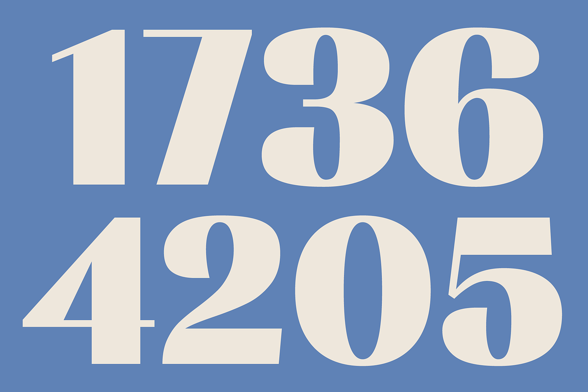 Rachstela Font Family - 14 Styles!, a Sans Serif Font by Martype (Photo 14 of 15)