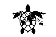 World Map Sea Turtle Bundle, an Illustration by Gaye Art (Thumbnail 24 of 31)