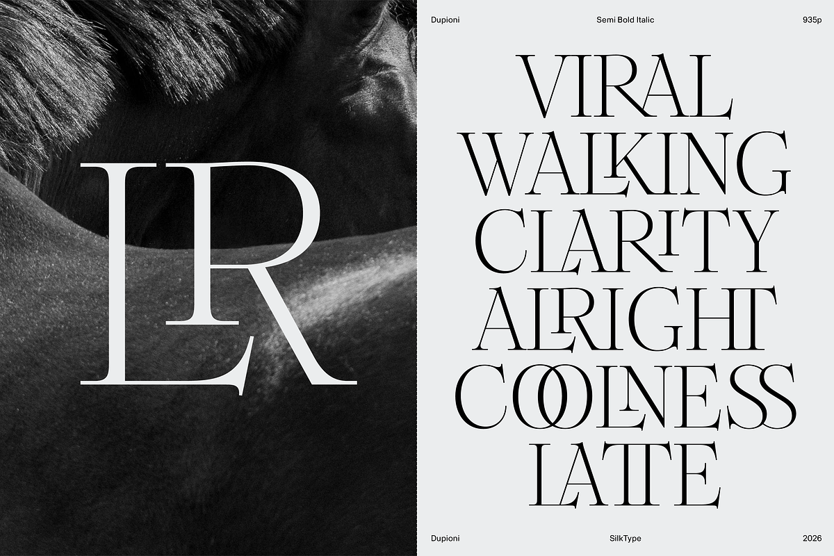 Dupioni Thin - Ligature Serif, a Serif Font by Silktype (Photo 3 of 20)