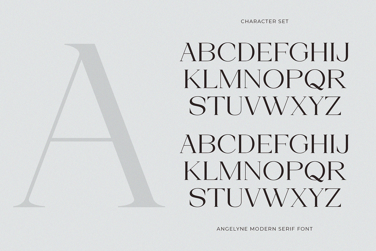 Angelyne - Modern Serif Font, a Serif Font by Muflieart (Photo 9 of 10)