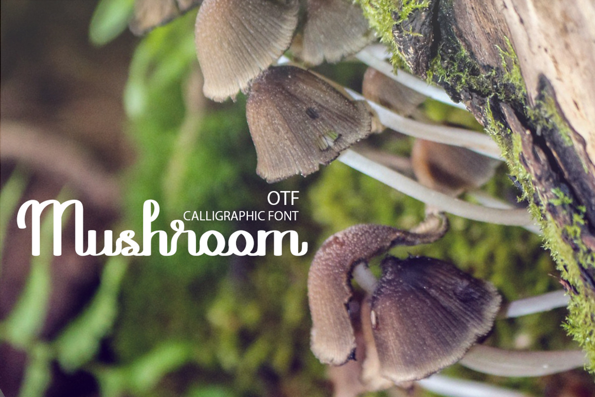 Mushroom font