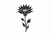 Black Floral Silhouette Set, an Illustration by balal (Thumbnail 7 of 21)