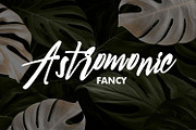 Rio de Janeiro Script Brush Font, a Script Font by WhymoreArt (Thumbnail 7 of 10)