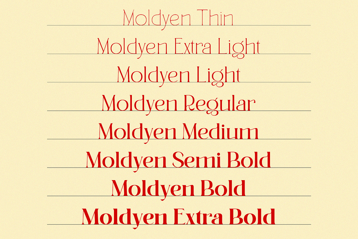 Moldyen Font Family, a Serif Font by MJtypefoundry (Photo 2 of 10)