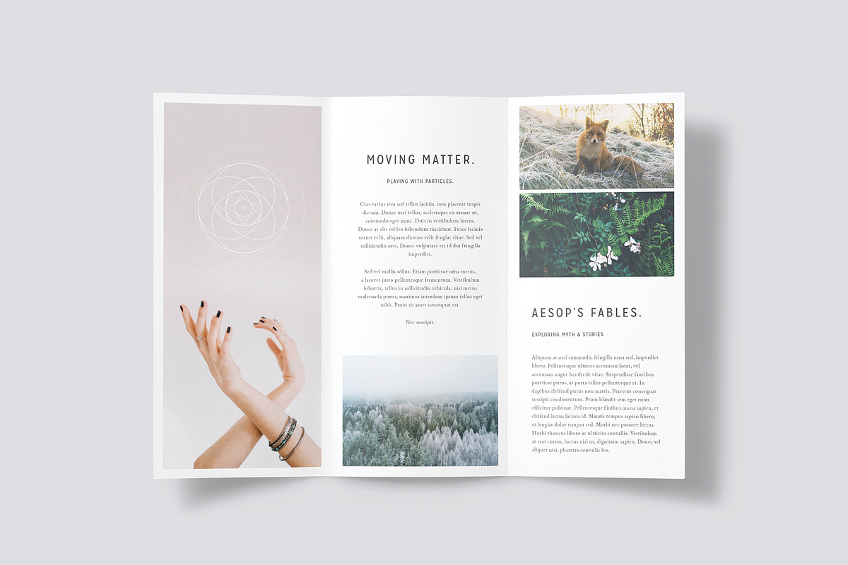 LUMINA Trifold Brochure, a Brochure Template by 46&2 Collective (Photo 4 of 9)