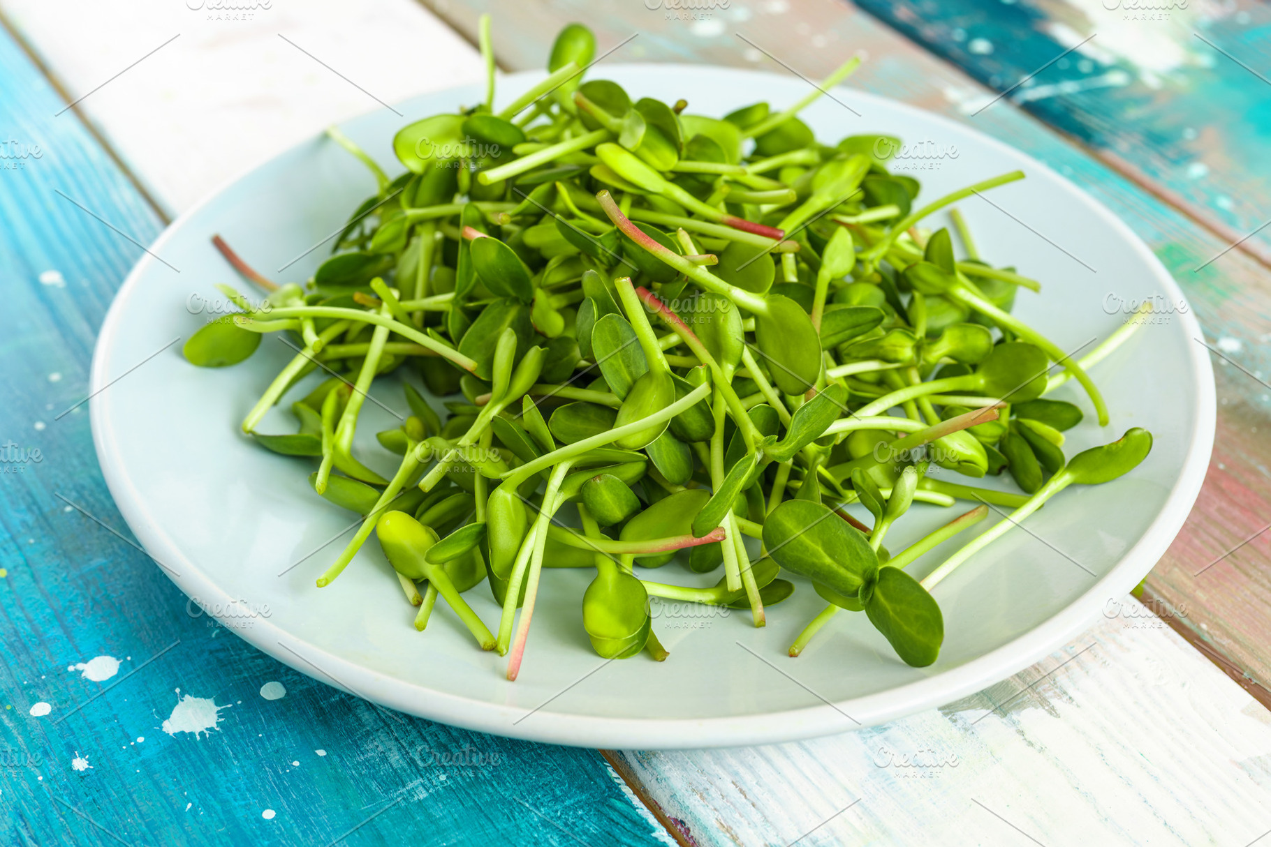 Fresh green sunflower microgreens on a blue plate. Healthy sprout plant ingredi, a Food & Drink Photo by Eugene_Photo