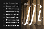 Qualing - Luxury Serif (135 Font), a Serif Font by MjStudio31 (Thumbnail 12 of 14)