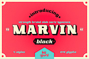 Marvin black, a Slab Serif Font by NREY (Thumbnail 2 of 5)