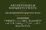 Regime Misfiles Serif Oldstyle Font, a Serif Font by Letterena Studios (Thumbnail 13 of 15)