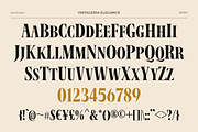 Vintageria Elegance, a Serif Font by Get Studio (Thumbnail 16 of 17)