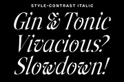 Stylebender Serif - Multi-style Font, a Serif Font by Tropical Type (Thumbnail 3 of 17)