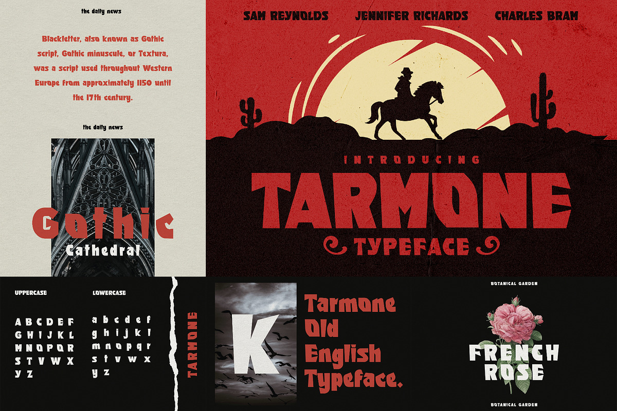 Tarantology Font Bundle (42 Fonts!), a Sans Serif Font by HipFonts (Photo 7 of 10)
