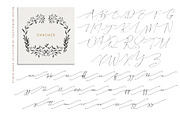 Studio Baked Font Collection, a Script Font by Creativeqube Design (Thumbnail 22 of 23)
