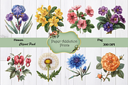 70 Flower Clipart Images, a Decorative Illustration by Paper Addiction Prints (Thumbnail 5 of 10)