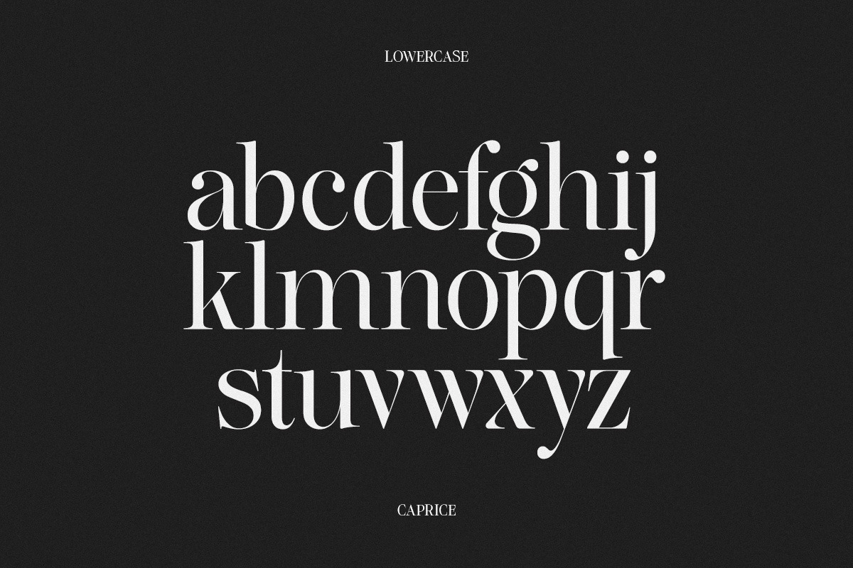 Lifestyle Icons | 8 Font Files, a Serif Font by Pista Mova (Photo 17 of 21)