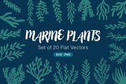 20 Marine Plants Vector Set, an Object Graphic by Melantha Graphics