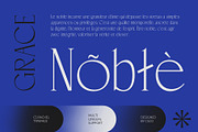 CS Rachel – Elegant Font, a Serif Font by Craft Supply Co. (Thumbnail 7 of 8)