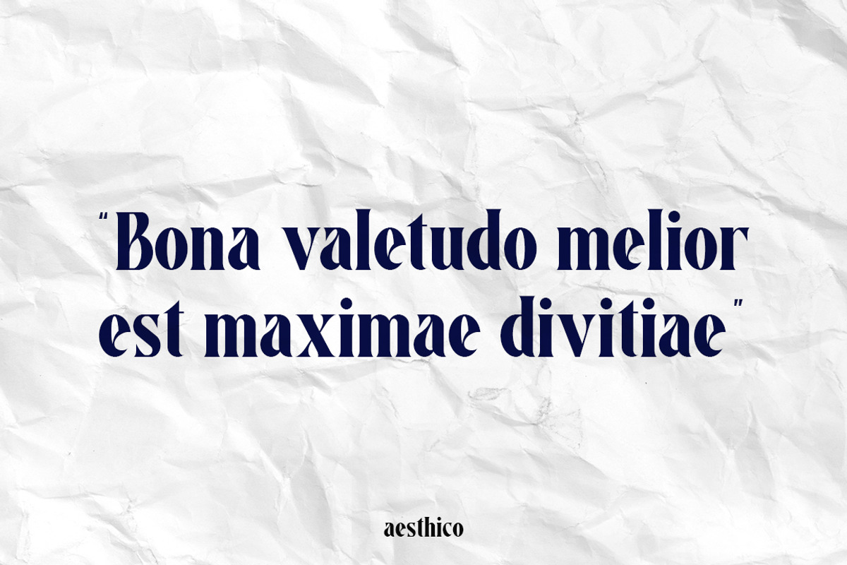 Aesthico Bold Serif Font, a Serif Font by Heinzel Std (Photo 14 of 15)