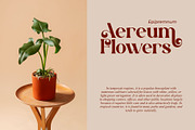 Vanniel || Modern Serif Font, a Serif Font by Ermedia Studio (Thumbnail 3 of 10)