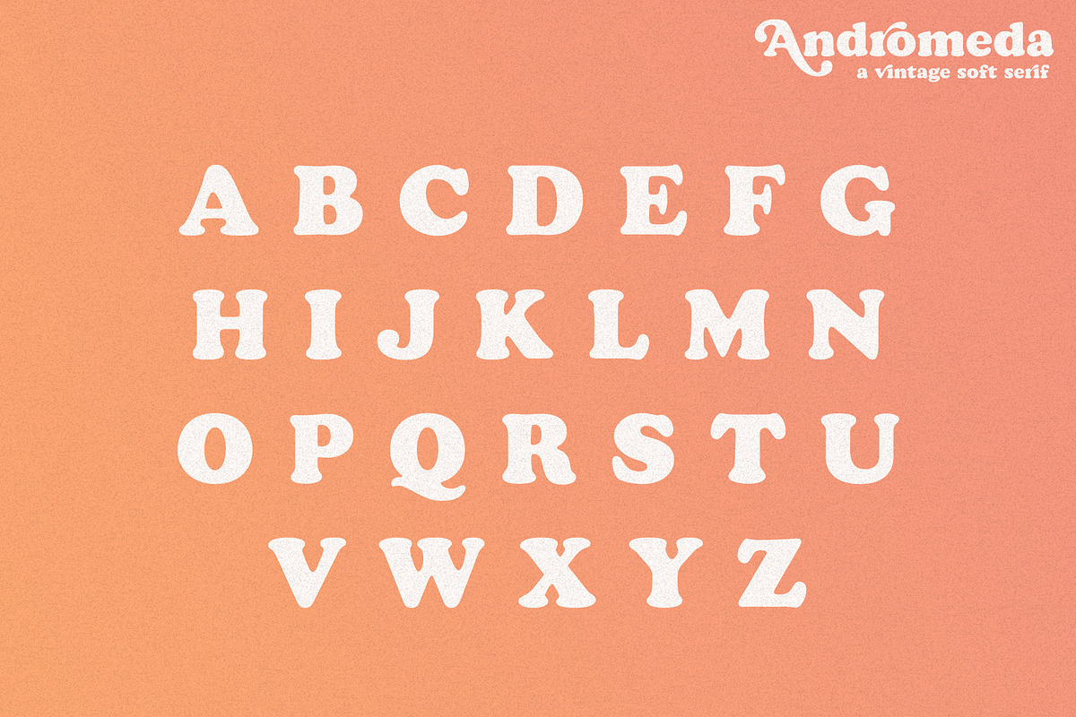 Andromeda // A Vintage Soft Serif preview 7