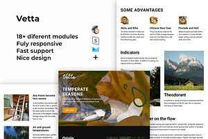 Vetta Responsive Email Template