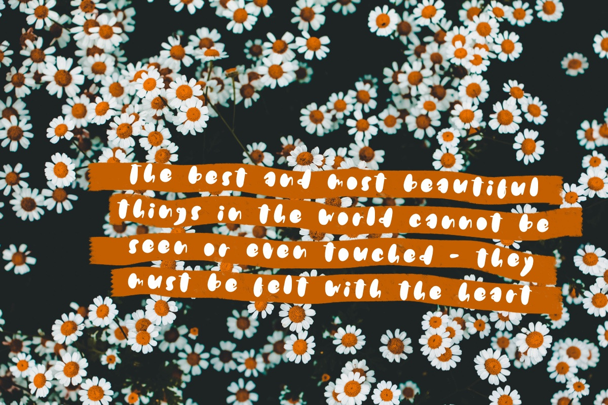 Bit by Bit handwritten font, a Handwritten Font by jyllyco (Photo 2 of 6)