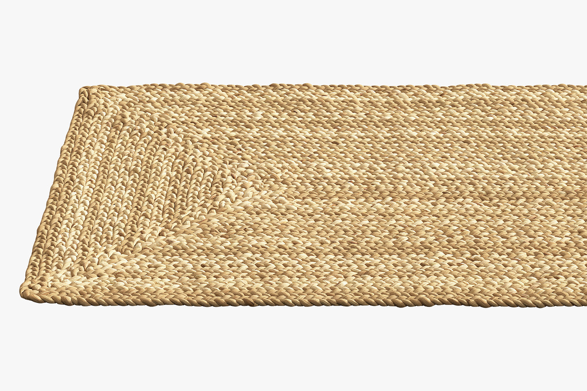 Dina Coastal Jute Rug Runner, a Furniture 3D Model by 3dmitruk (Photo 4 of 14)