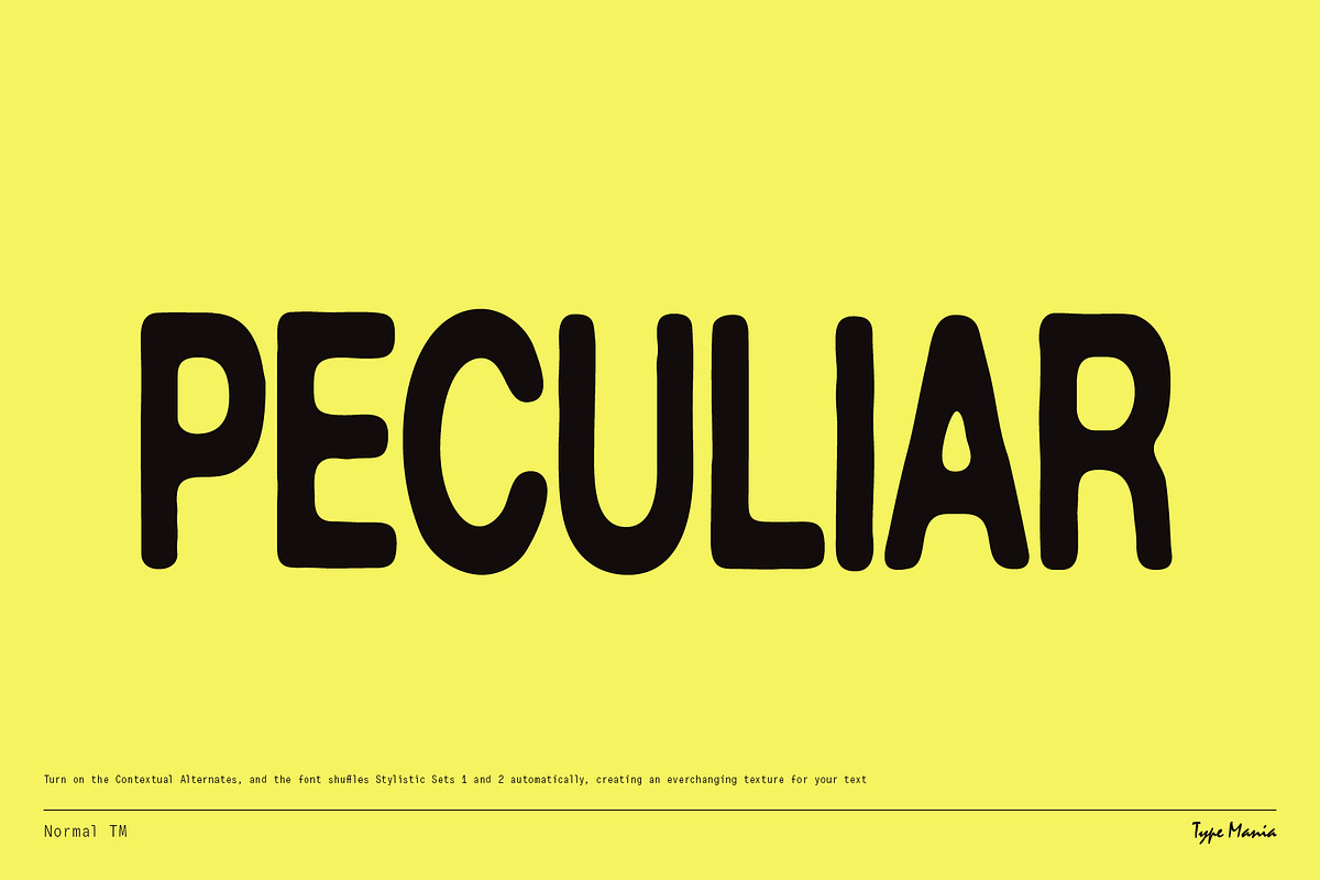 Normal TM – Gently Handled Grotesk, a Sans Serif Font by Type Mania (Photo 5 of 12)