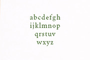 Achazia Serif Font Family Pack, a Serif Font by Creativetacos (Thumbnail 3 of 5)
