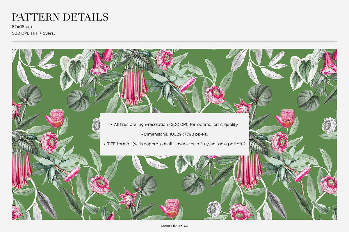 Meloura Luxury Patterns And Elements, a Pattern Graphic by LEAFure (Photo 3 of 9)