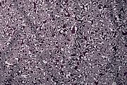 Fluid Pattern Set, a Pattern Graphic by Inkwell Supply Co (Thumbnail 6 of 14)