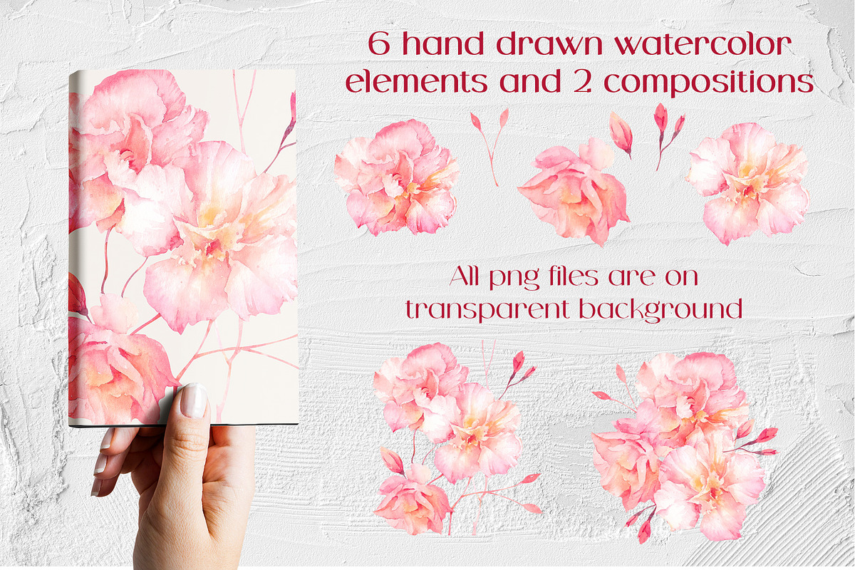 Oleander flower watercolor clipart, a Decorative Illustration by Eva Kleinman (Photo 2 of 8)