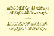 Dragonfly Meadow - Tall Serif, a Serif Font by MEG BURK CHOI (Thumbnail 3 of 3)