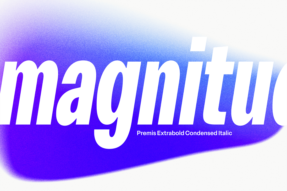 Premis Straightforward Sans Family, a Sans Serif Font by Fenotype (Photo 8 of 13)