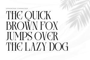 Areogas Vintage - Modern Serif