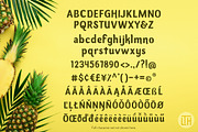 Summer Sans, a Font by Little Type House (Thumbnail 4 of 4)