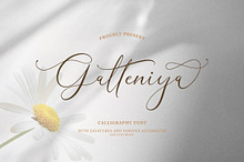 Galteniya | Beautiful Script