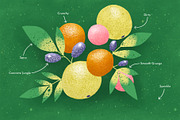 Texture Procreate Brushes, a Brush Add-On by Faber Co. (Thumbnail 4 of 7)