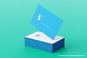 Bluemoon logo, a Branding & Logo Template by MuzaInspires (Thumbnail 3 of 3)