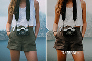 Tangerine Presets - Lightroom & ACR, an Action Add-On by Presetrain Co. (Thumbnail 2 of 12)