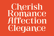 Gts Calira - Romantic Serif Font, a Serif Font by Graptail (Thumbnail 8 of 20)