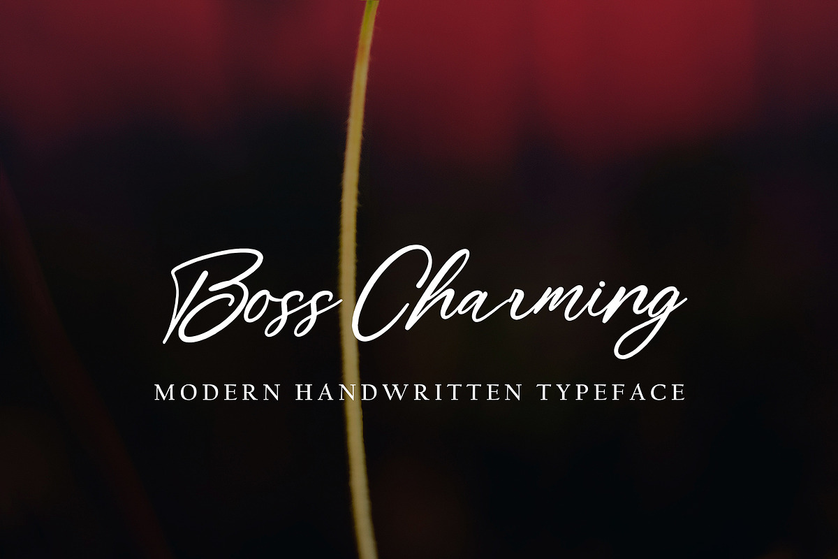 Eurotica, a Handwritten Font by pineungtype (Photo 6 of 7)