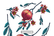POMEGRANATE EDEN - patterns & motifs, a Decorative Illustration by Liiafis (Thumbnail 11 of 15)
