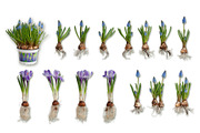 Scene Creator Colorful Spring&Easter, a Product Mockup by Anna_Zubkova (Thumbnail 4 of 7)